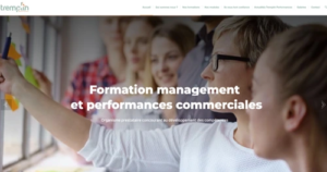 comfettis-creation-site-internet-tremplin-performances
